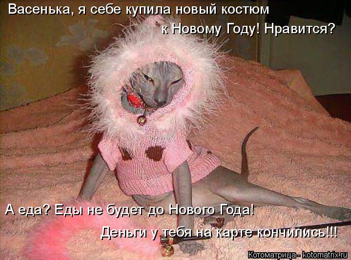 Васенька, я себе купила новый костюм к Новому Году! Нравится? А еда? Еды не будет до Нового Года! Де... Котоматрица: Васенька, я себе купила новый костюм к Новому Году! Нравится? А еда? Еды не будет до Нового Года! Деньги у тебя на карте кончились!!!