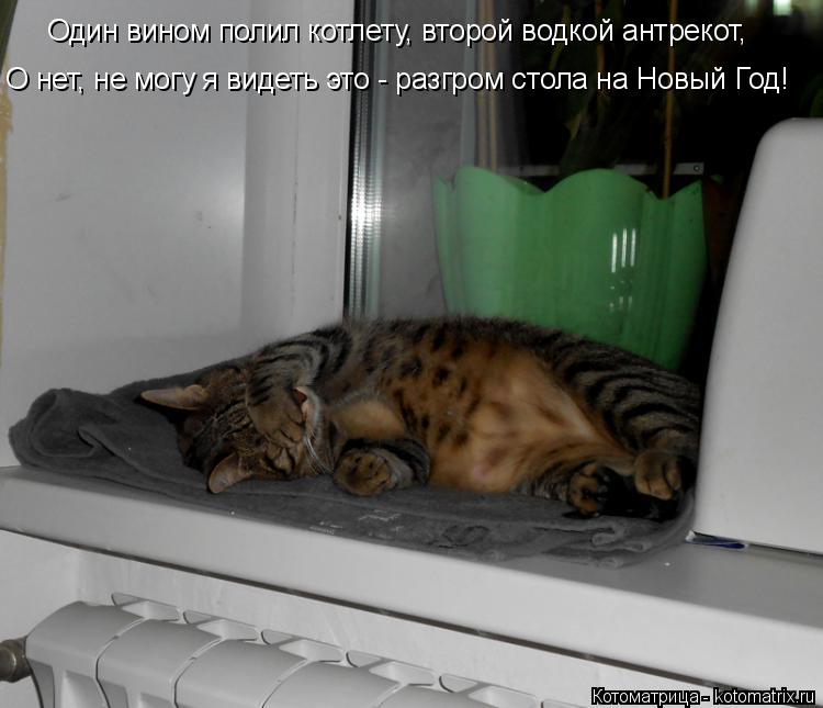 Котоматрица: Один вином полил котлету, второй водкой антрекот, О нет, не могу я видеть это - разгром стола на Новый Год!