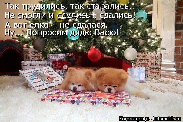 Так трудились, так старались, Не смогли и сдулись… сдались! А вот елка – не сдалася. Ну... Попросим д... Котоматрица: Так трудились, так старались, Не смогли и сдулись… сдались! А вот елка – не сдалася. Ну... Попросим дядю Васю! ______