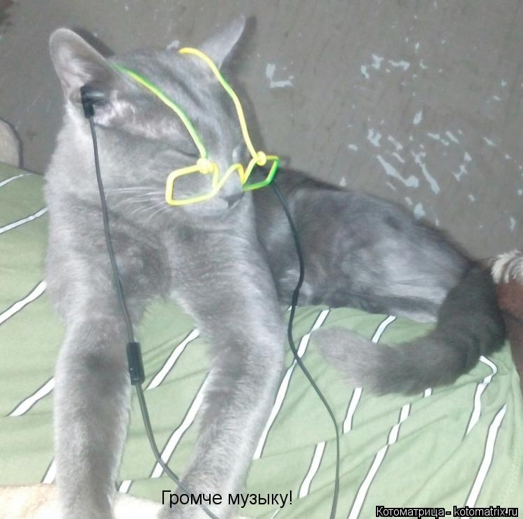 Котоматрица: Громче музыку!