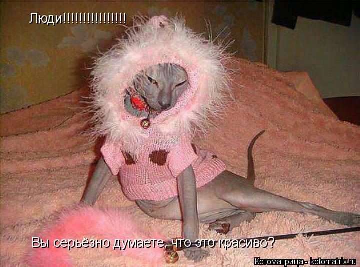 Люди!!!!!!!!!!!!!!!! Вы серьёзно думаете, что это красиво?... Котоматрица: Люди!!!!!!!!!!!!!!!! Вы серьёзно думаете, что это красиво?