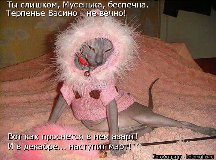 Ты слишком, Мусенька, беспечна. Терпенье Васино - не вечно! Вот как проснется в нем азарт! И в декабр... Котоматрица: Ты слишком, Мусенька, беспечна. Терпенье Васино - не вечно! Вот как проснется в нем азарт! И в декабре... наступит март!