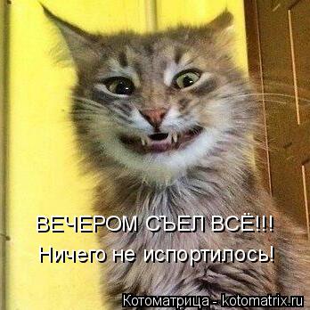 ВЕЧЕРОМ СЪЕЛ ВСЁ!!! Ничего не испортилось!... Котоматрица: ВЕЧЕРОМ СЪЕЛ ВСЁ!!! Ничего не испортилось!