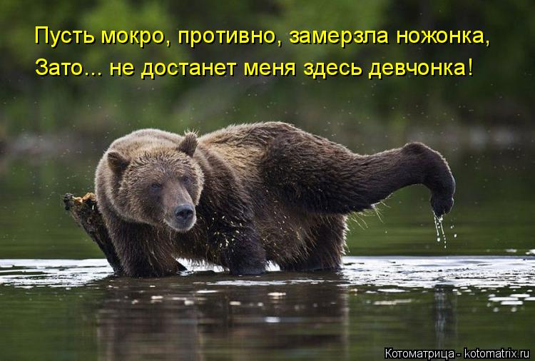 Пусть мокро, противно, замерзла ножонка, Зато... не достанет меня здесь девчонка!... Котоматрица: Пусть мокро, противно, замерзла ножонка, Зато... не достанет меня здесь девчонка!