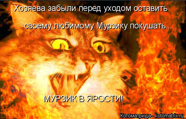 Хозяева забыли перед уходом оставить своему любимому Мурзику покушать... МУРЗИК В ЯРОСТИ!... Котоматрица: Хозяева забыли перед уходом оставить своему любимому Мурзику покушать... МУРЗИК В ЯРОСТИ!