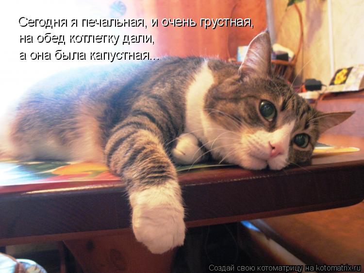 Сегодня я печальная, и очень грустная, на обед котлетку дали, а она была капустная...... Котоматрица: Сегодня я печальная, и очень грустная, на обед котлетку дали, а она была капустная...