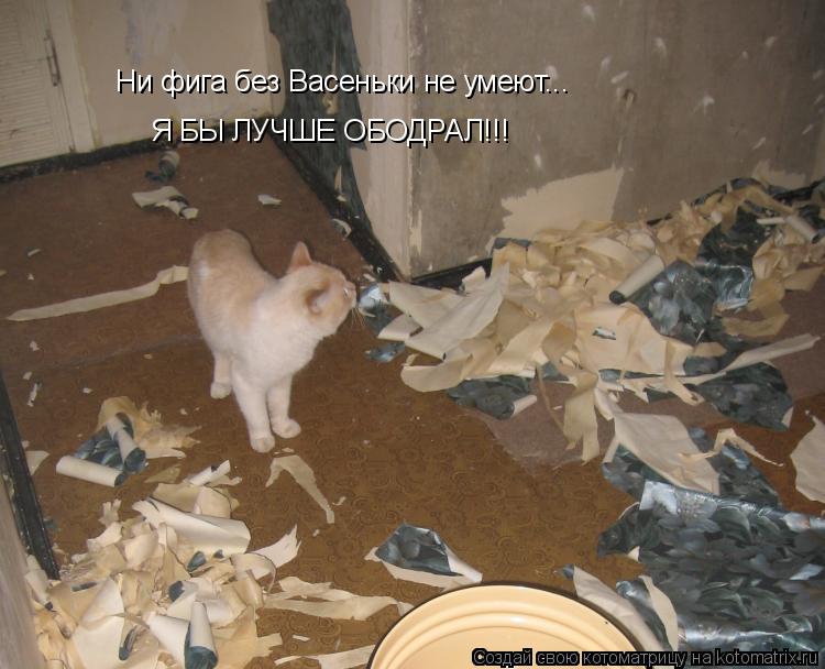 Ни фига без Васеньки не умеют... Я БЫ ЛУЧШЕ ОБОДРАЛ!!!... Котоматрица: Ни фига без Васеньки не умеют... Я БЫ ЛУЧШЕ ОБОДРАЛ!!!