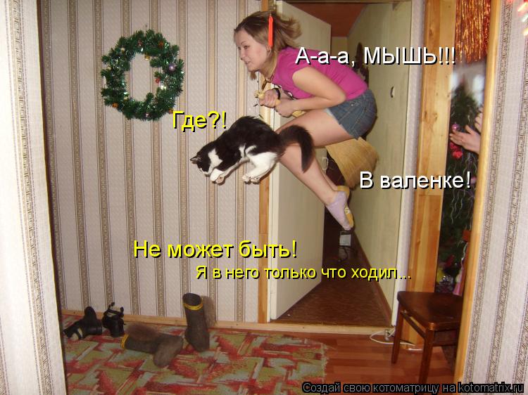 А-а-а, МЫШЬ!!! Где?! В валенке! Не может быть! Я в него только что ходил...... Котоматрица: А-а-а, МЫШЬ!!! Где?! В валенке! Не может быть! Я в него только что ходил...