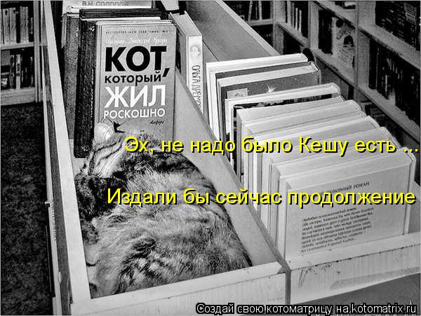 Эх, не надо было Кешу есть ... Издали бы сейчас продолжение... Котоматрица: Эх, не надо было Кешу есть ... Издали бы сейчас продолжение