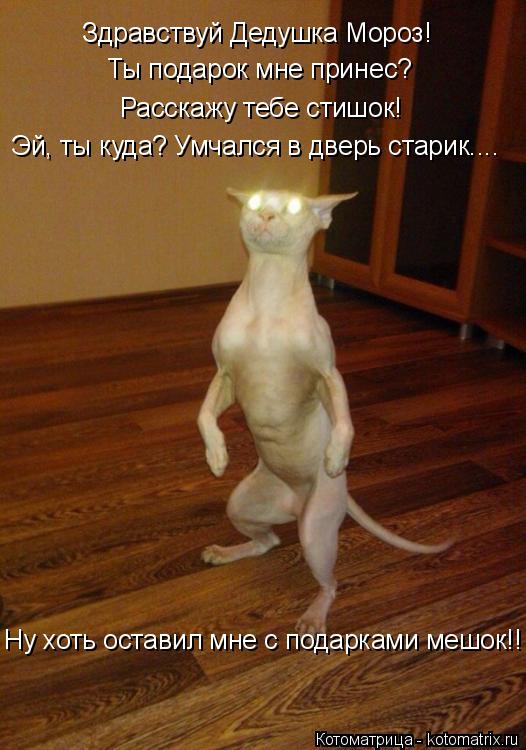 Здравствуй Дедушка Мороз! Ты подарок мне принес? Расскажу тебе стишок! Ну хоть оставил мне с подаркам... Котоматрица: Здравствуй Дедушка Мороз! Ты подарок мне принес? Расскажу тебе стишок! Ну хоть оставил мне с подарками мешок!! Эй, ты куда? Умчался в дверь ст