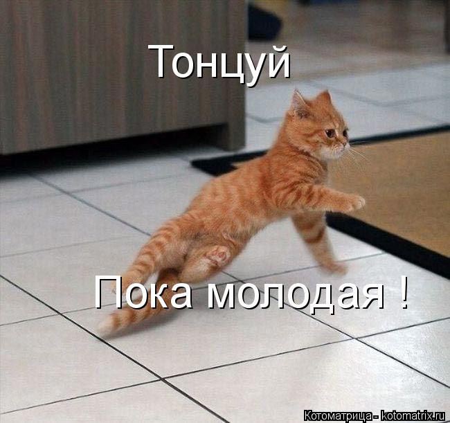 Тонцуй Пока молодая !... Котоматрица: Тонцуй Пока молодая !