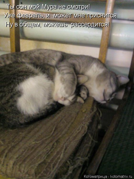 Ты сон мой Мура не смотри! Уже февраль, и может мне приснится Ну в общем, можешь рассердится!... Котоматрица: Ты сон мой Мура не смотри! Уже февраль, и может мне приснится Ну в общем, можешь рассердится!