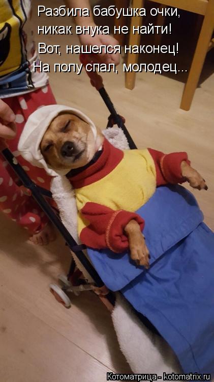 Разбила бабушка очки, никак внука не найти! Вот, нашелся наконец! На полу спал, молодец...... Котоматрица: Разбила бабушка очки, никак внука не найти! Вот, нашелся наконец! На полу спал, молодец...