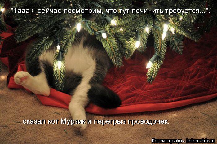 "Тааак, сейчас посмотрим, что тут починить требуется...",- сказал кот Мурзик и перегрыз проводочек.... Котоматрица: "Тааак, сейчас посмотрим, что тут починить требуется...",- сказал кот Мурзик и перегрыз проводочек.