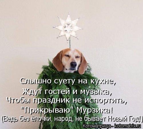 Слышно суету на кухне, Ждут гостей и музыка, Чтобы праздник не испортить, "Прикрываю" Мурзика! (Ведь ... Котоматрица: Слышно суету на кухне, Ждут гостей и музыка, Чтобы праздник не испортить, "Прикрываю" Мурзика! (Ведь без ёлочки, народ, не бывает Новый Год!)