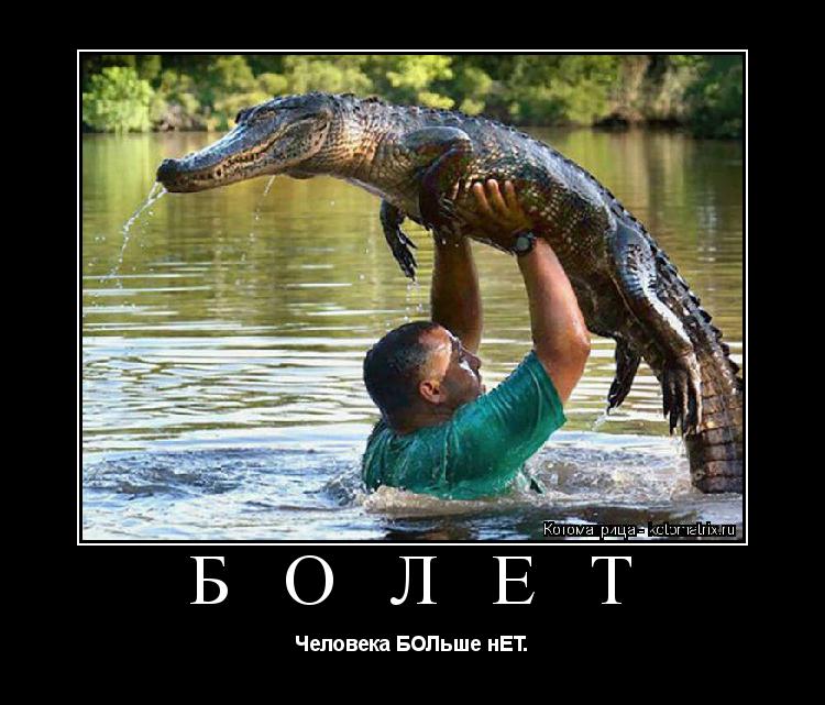 Котоматрица: Б О Л Е Т Человека БОЛьше нЕТ.