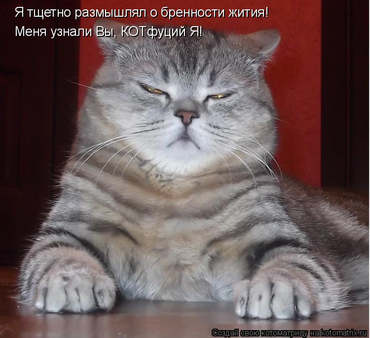 Котоматрица: Я тщетно размышлял о бренности жития! Меня узнали Вы, КОТфуций Я!