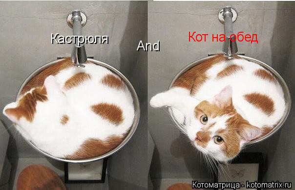 Котоматрица: Кастрюля And Кот на обед