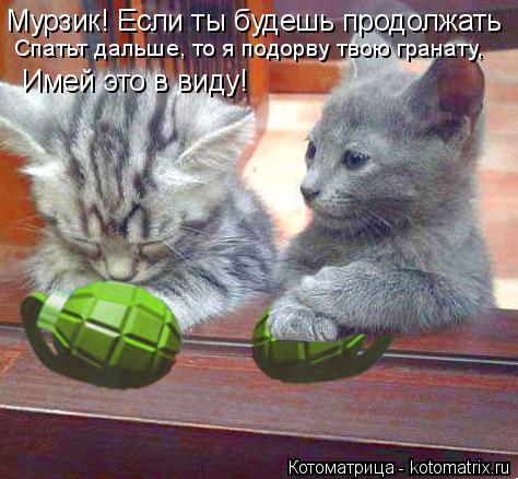 Котоматрица: Мурзик! Если ты будешь продолжать  Спатьт дальше, то я подорву твою гранату, Имей это в виду!