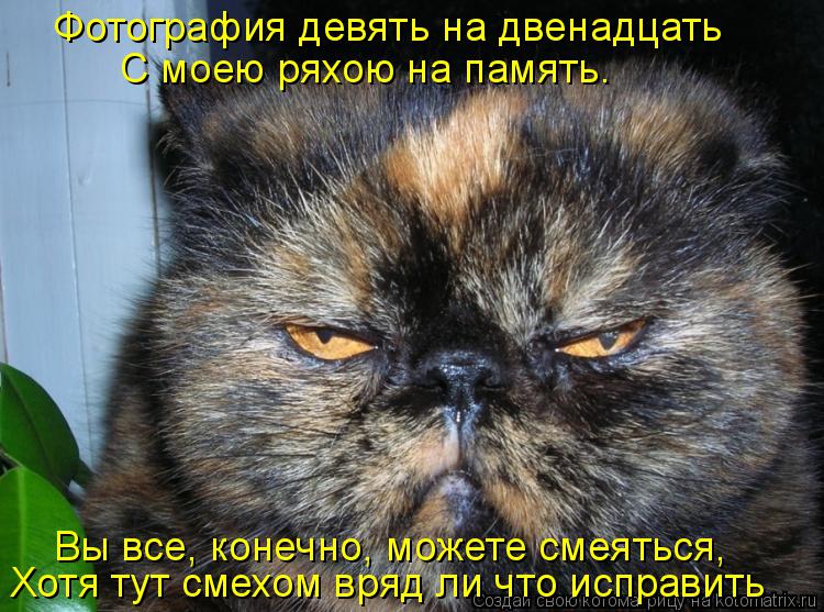 Котоматрица: Фотография девять на двенадцать С моею ряхою на память. Вы все, конечно, можете смеяться, Хотя тут смехом вряд ли что исправить