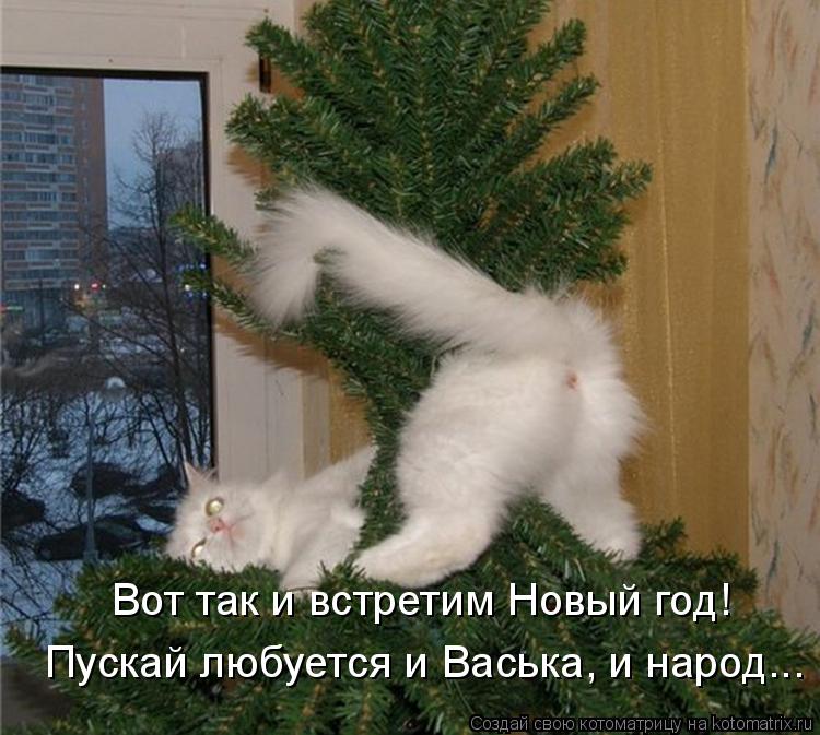 Котоматрица: Вот так и встретим Новый год! Пускай любуется и Васька, и народ...