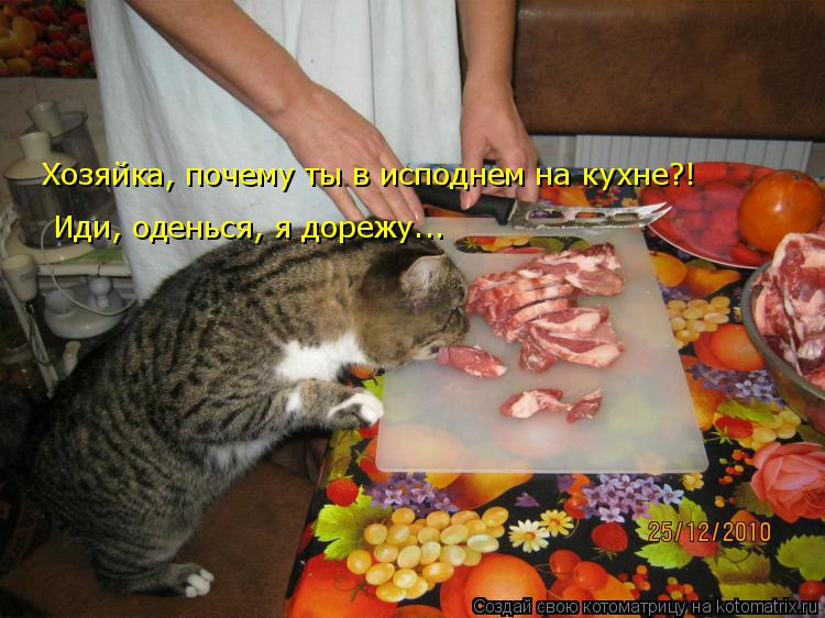 Котоматрица: Хозяйка, почему ты в исподнем на кухне?! Иди, оденься, я дорежу...