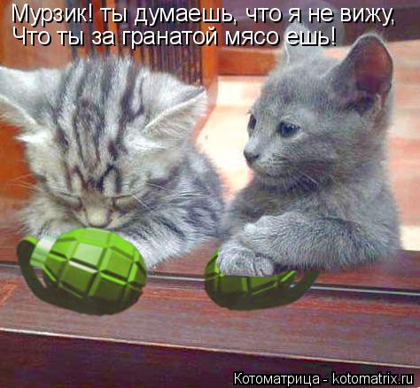 Котоматрица: Мурзик! ты думаешь, что я не вижу, Что ты за гранатой мясо ешь!