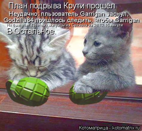 Котоматрица: План подрыва Крути прошёл  Неудачно: пльзователь Garrigan заснул, Godzilla84 пришлось следить, чтобы Garrigan Не был убит. Поэтому матрицы из Свежака за 2