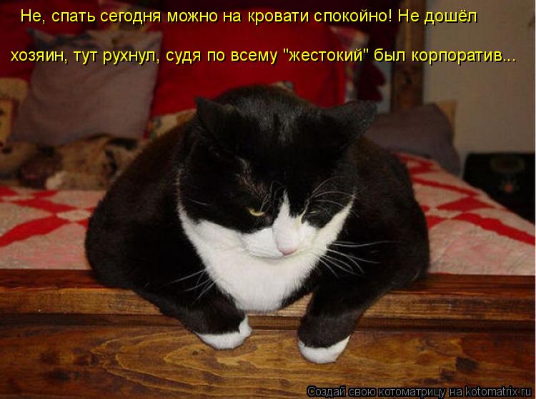 Котоматрица: хозяин, тут рухнул, судя по всему "жестокий" был корпоратив... Не, спать сегодня можно на кровати спокойно! Не дошёл