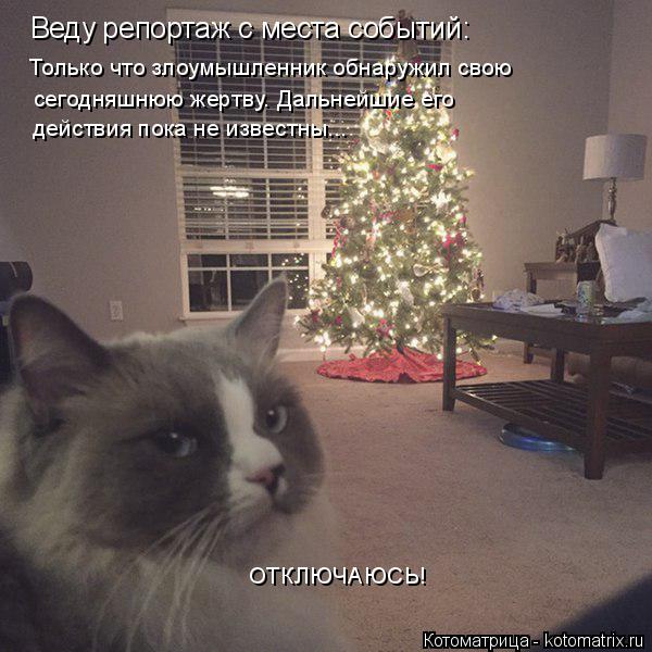 Котоматрица: Веду репортаж с места событий: Только что злоумышленник обнаружил свою  сегодняшнюю жертву. Дальнейшие его действия пока не известны... ОТК