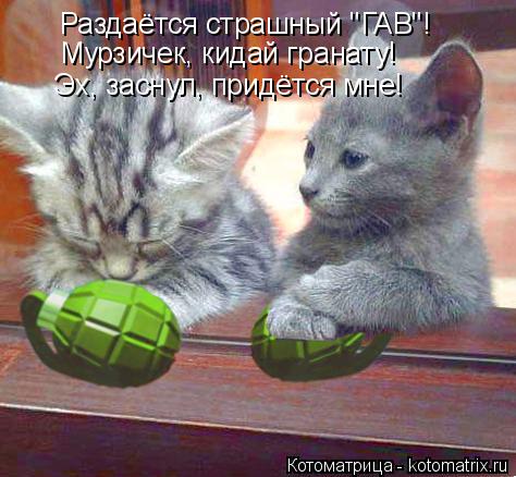 Котоматрица: Раздаётся страшный "ГАВ"! Мурзичек, кидай гранату! Эх, заснул, придётся мне!
