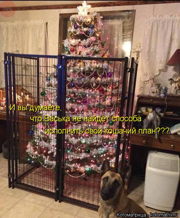 Котоматрица: И вы думаете,  что Васька не найдёт способа исполнить свой кошачий план???