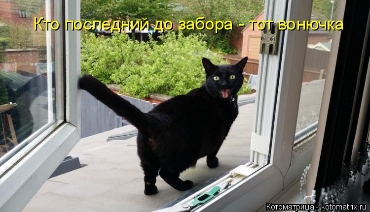 Котоматрица: Кто последний до забора - тот вонючка