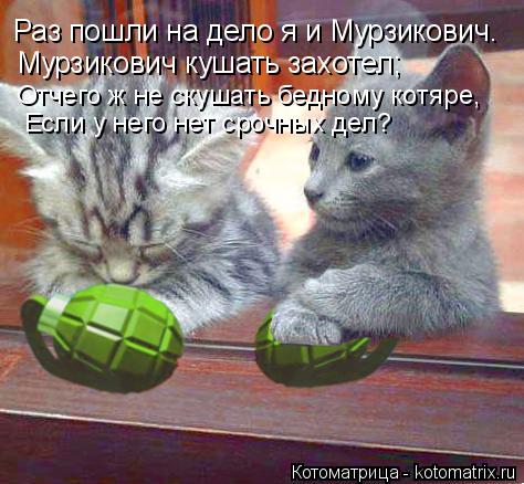 Котоматрица: Раз пошли на дело я и Мурзикович. Мурзикович кушать захотел; Отчего ж не скушать бедному котяре,  Если у него нет срочных дел?