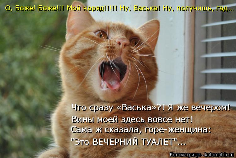 Котоматрица: О, Боже! Боже!!! Мой наряд!!!!! Ну, Васька! Ну, получишь, гад… Что сразу «Васька»?! Я же вечером! Вины моей здесь вовсе нет! Сама ж сказала, горе-жен