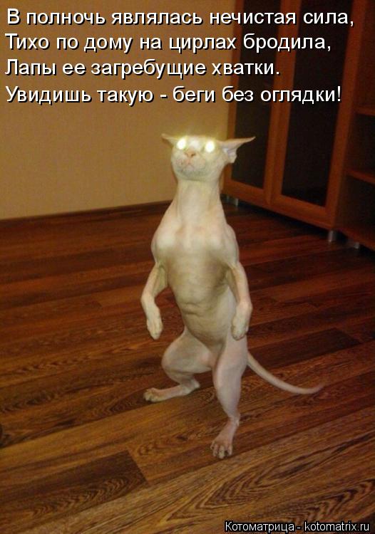 Котоматрица: В полночь являлась нечистая сила, Тихо по дому на цирлах бродила, Лапы ее загребущие хватки. Увидишь такую - беги без оглядки!