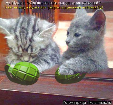 Котоматрица: Ну, Мурзик, пойдёшь спасать холодильник от гостей? О нет, не могу я видеть это - разгром холодильника на Новый Год!