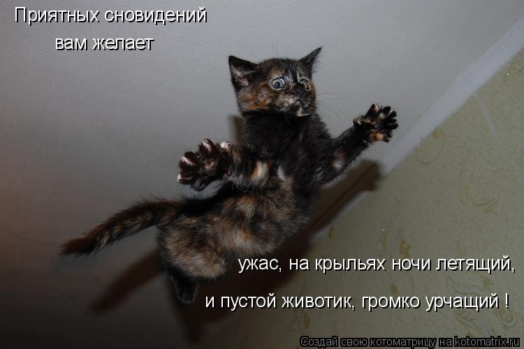 Котоматрица: Приятных сновидений вам желает ужас, на крыльях ночи летящий,  и пустой животик, громко урчащий !