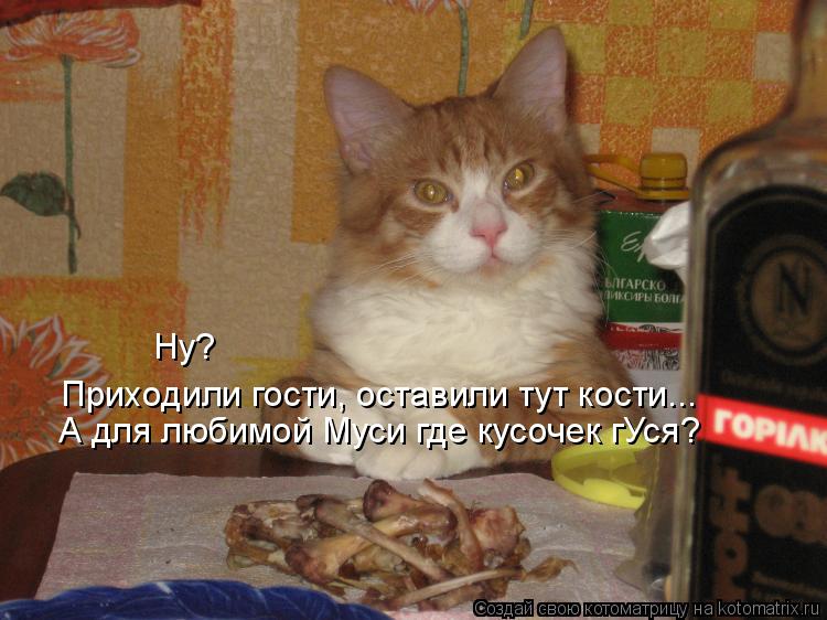 Котоматрица: Ну? Приходили гости, оставили тут кости... А для любимой Муси где кусочек гУся?