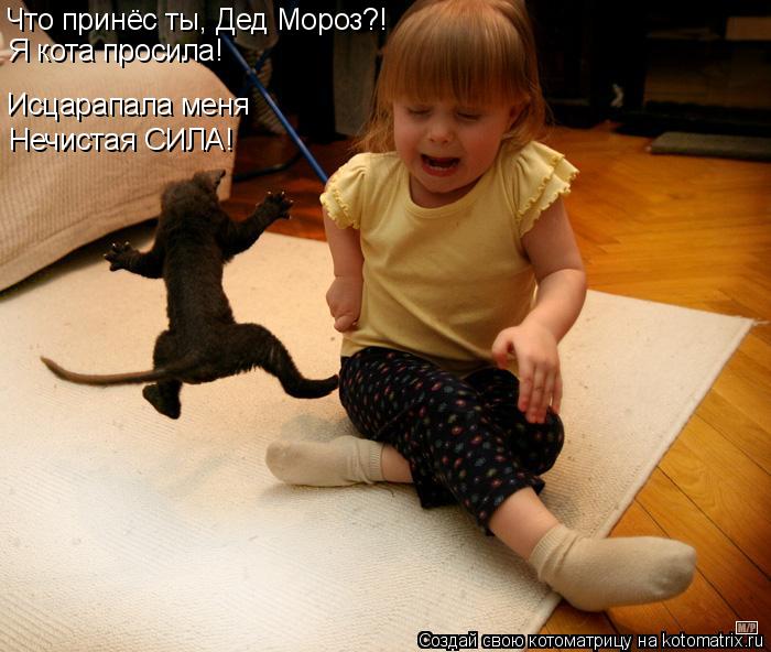 Котоматрица: Что принёс ты, Дед Мороз?! Я кота просила! Исцарапала меня Нечистая СИЛА!