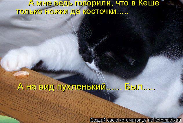 Котоматрица: А мне ведь говорили, что в Кеше только ножки да косточки..... А на вид пухленький...... Был.....