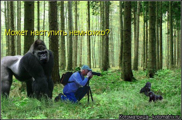 Котоматрица: Может наступить немножко?