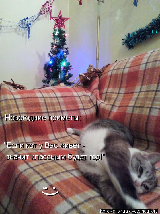 Котоматрица: "Если кот у Вас живет -  значит классным будет год!" Новогодние приметы:  ;)