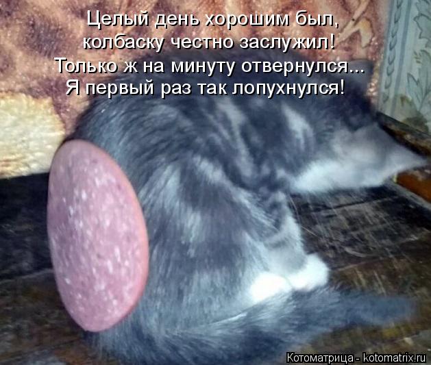 Котоматрица: Целый день хорошим был, колбаску честно заслужил! Я первый раз так лопухнулся! Только ж на минуту отвернулся...