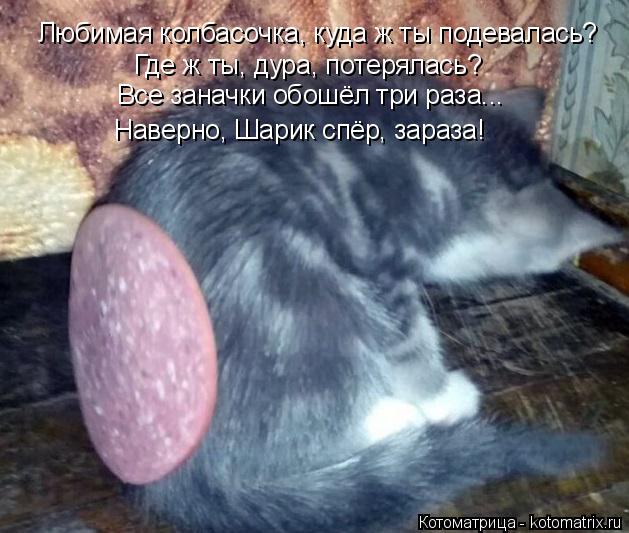 Котоматрица: Любимая колбасочка, куда ж ты подевалась? Где ж ты, дура, потерялась? Все заначки обошёл три раза... Наверно, Шарик спёр, зараза!