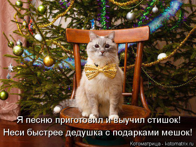 Котоматрица: Неси быстрее дедушка с подарками мешок! Я песню приготовил и выучил стишок!