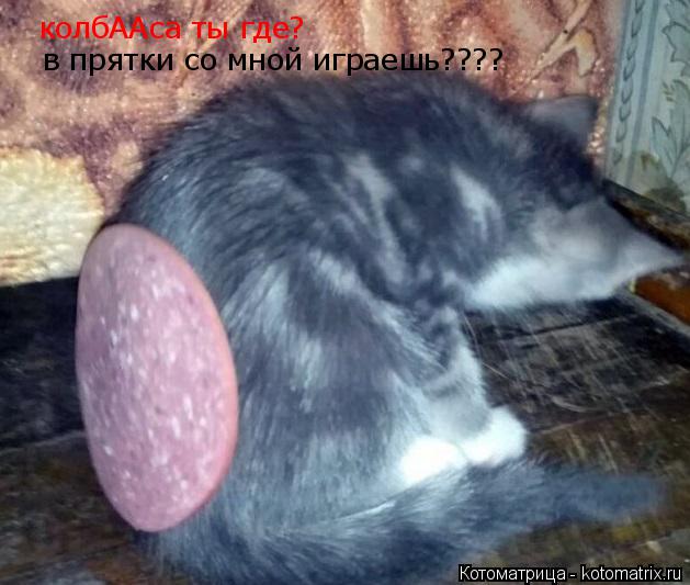 Котоматрица: колбААса ты где? в прятки со мной играешь????