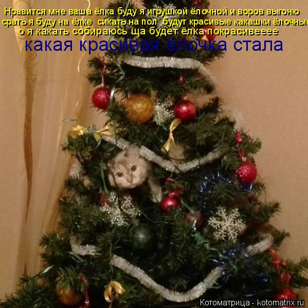 Котоматрица: Нравится мне ваша ёлка буду я игрушкой ёлочной и воров выгоню срать я буду на ёлке  сикать на пол  будут красивые какашки ёлочные о я какать 