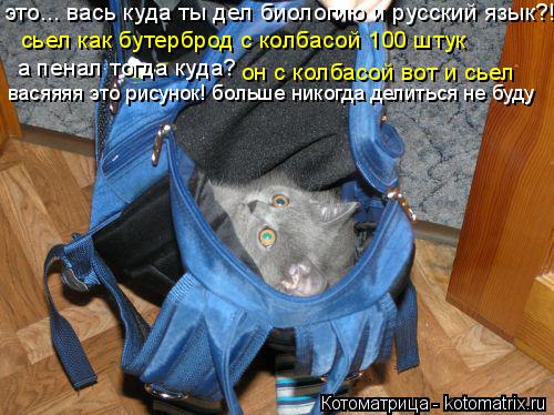 Котоматрица: это... вась куда ты дел биологию и русский язык?! сьел как бутерброд с колбасой 100 штук а пенал тогда куда? он с колбасой вот и сьел васяяяя это 