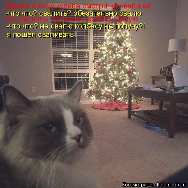 Котоматрица: -барсик я ёлку купила смотри не свали её -что что? свалить? обезательно свалю  -не свалишь получишь колбасу целую -что что? не свалю колбасу не